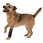 Alternate image 1 for Pet Life&reg; Neoprene Joint Protective Reflective Pet Sleeves (Set of 4)