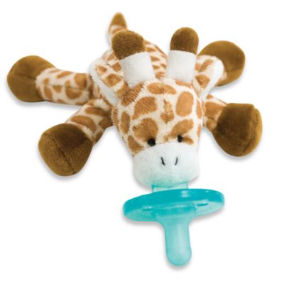 baby pacifier with stuffed animal