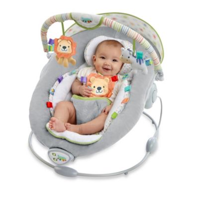 taggies soft n snug bouncer