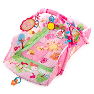 bright starts activity gym pink