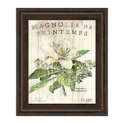 Sue Schlabach Magnolia De Printemps 22-Inch x 26-Inch Framed Wall Art
