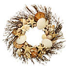 Alternate image 0 for Natural Shell Wreath