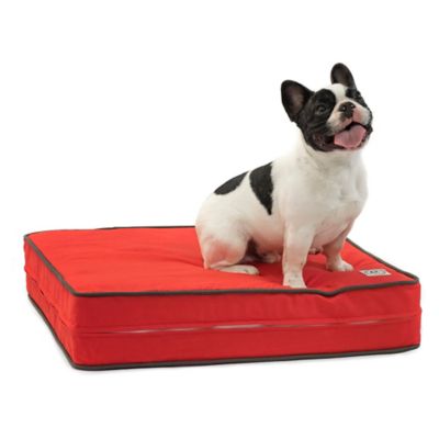 gel dog bed