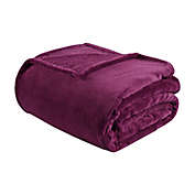 Intelligent Design Microlight Plush Twin/Twin XL Throw Blanket in Purple