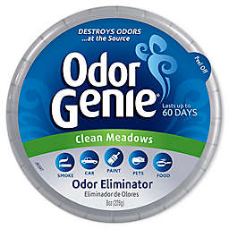 DampRid™ 8 oz. Odor Genie in Clean Meadows