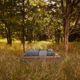 Calvin Klein® Modern Cotton Body Bedding Collection
