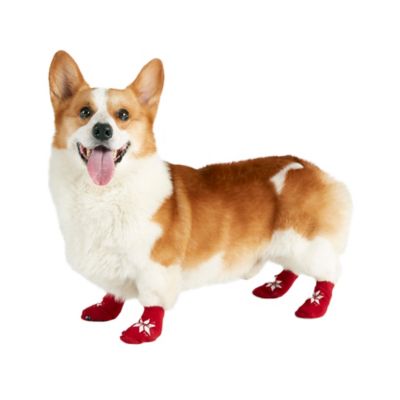 pet socks