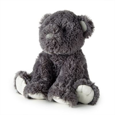 grey baby teddy