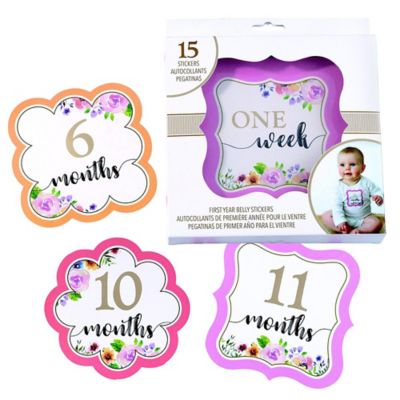 Lillian Rose&trade; Milestone Belly Stickers in Pink