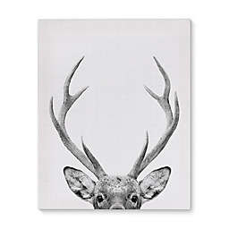 Deer 16-Inch x 20-Inch Canvas Wall Art in Black/White