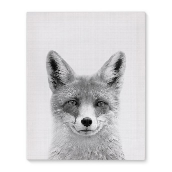 13+ Best Fox wall art images info
