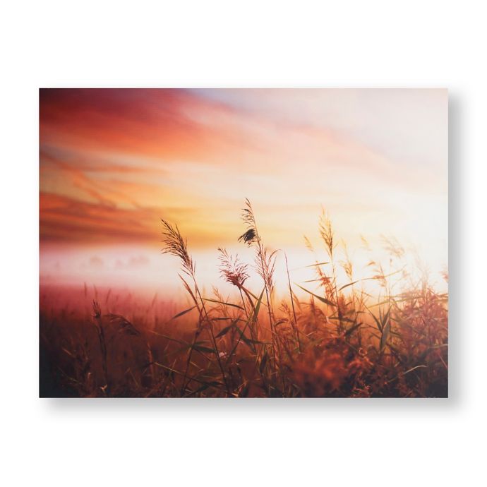 Graham & Brown Morning Sunrise Meadow 32-Inch x 24-Inch Wrapped Canvas ...