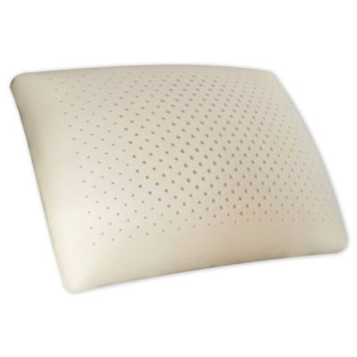 Serene Standard/Queen Foam Pillow 