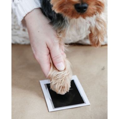 Pearhead&reg; Pet Rotating Memory Box and Clean-Touch Ink Pad Kit in Black. View a larger version of this product image.