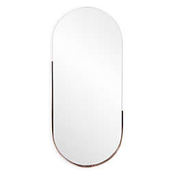 Howard Elliott® Dante 17-Inch x 40-Inch Oval Wall Mirror
