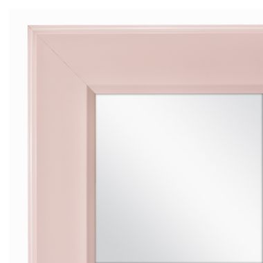SALT&trade; Over the Door Mirror 16-Inch x 52-Inch in Blush. View a larger version of this product image.