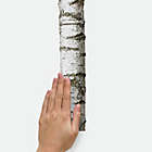 Alternate image 4 for RoomMates&reg; Birch Trees Peel and Stick Wall Decals