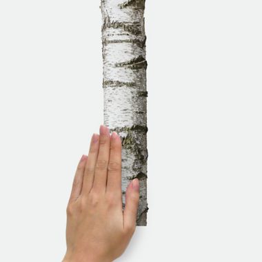 RoomMates&reg; Birch Trees Peel and Stick Wall Decals. View a larger version of this product image.