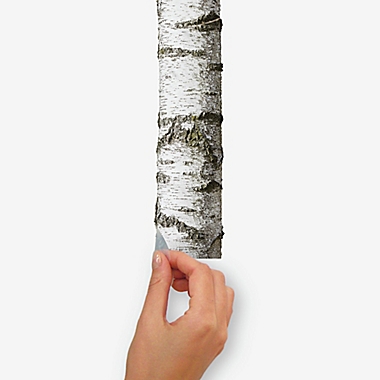 RoomMates&reg; Birch Trees Peel and Stick Wall Decals. View a larger version of this product image.