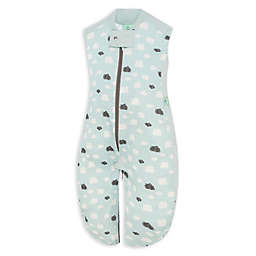 ergoPouch® Size 8-24M Organic Cotton Sleep Suit Bag in Mint Clouds
