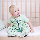 Alternate image 3 for ergoPouch&reg; Size 2-12M Organic Cotton Sleep Suit Bag in Mountains