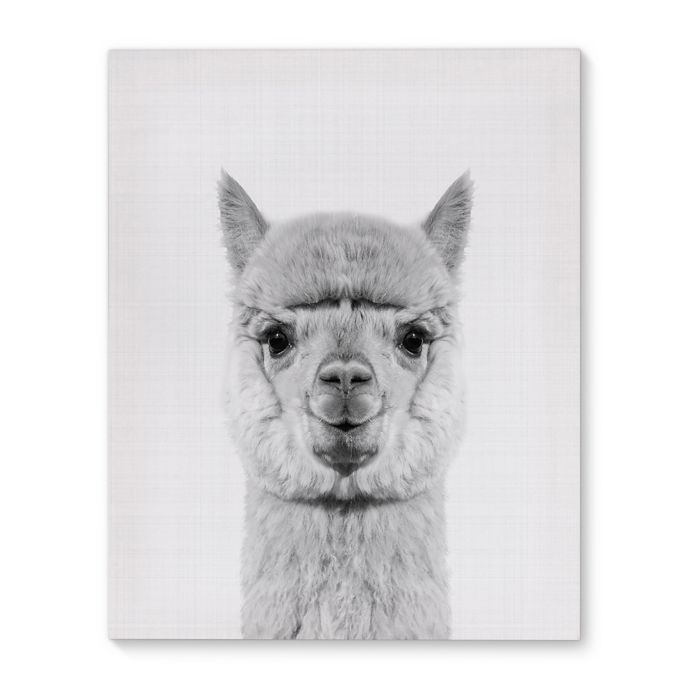 20+ Top Alpaca wall art images info