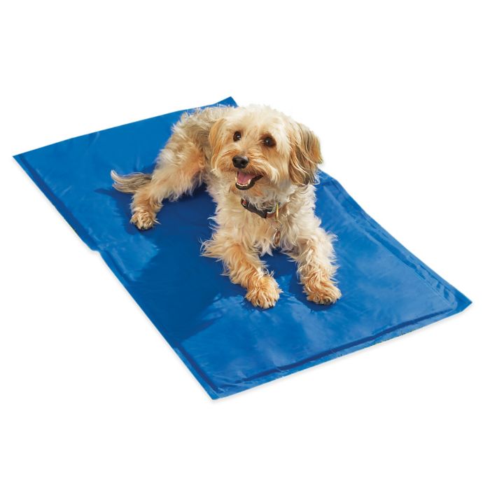 Chillz™ Comfort Cooling Gel Pet Pad | Bed Bath & Beyond