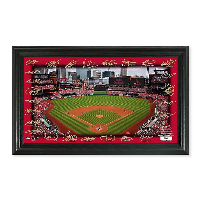MLB St. Louis Cardinals Signature Stadium Field Photo Mint | Bed Bath & Beyond