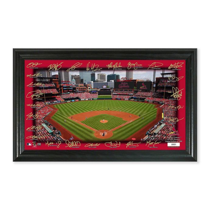 MLB St. Louis Cardinals Signature Stadium Field Photo Mint | Bed Bath & Beyond