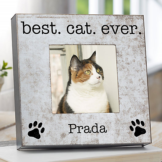 Alternate image 1 for Pet Statements Galvanized Box Picture Frame