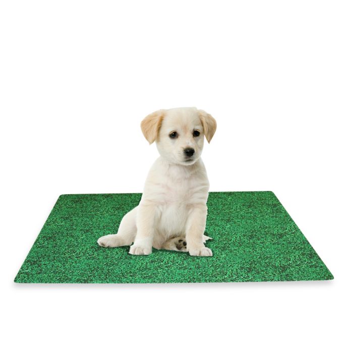 Potty Pad Mate Green Grass Design Bed Bath and Beyond Canada