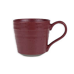 Bee & Willow™ Milbrook Mugs in Barn Red (Set of 4)