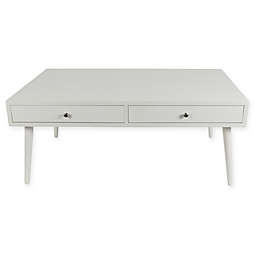 Decor Therapy® Modern 2-Drawer Coffee Table