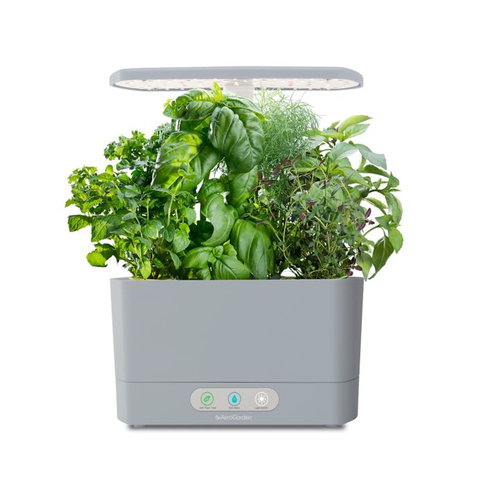 aerogarden canada