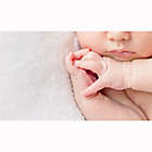 Alternate image 2 for Babyganics&reg; 8 fl. oz. Infant Soft + Light Moisturizer Baby Lotion Fragrance-Free