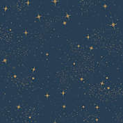 Roommates Upon A Star Peel &amp; Stick Wallpaper in Navy