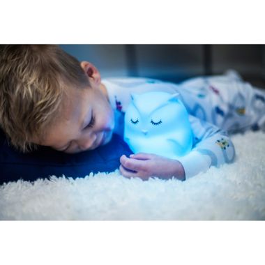 LumiPets Dragon LED Night Light with Remote. View a larger version of this product image.