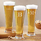 Alternate image 0 for Luigi Bormioli Personalized Beer Pilsner Glass