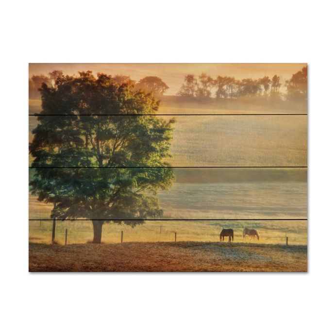 Courtside Market Sunlit Pastures Wood Pallet Wall Art Bed Bath