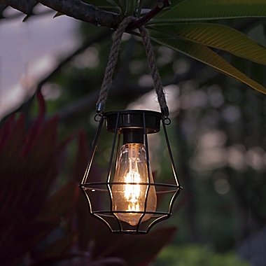 Destination Summer Solar Cage Lantern Light in Black. View a larger version of this product image.