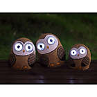 Alternate image 1 for Destination Summer Solar Owl Family Lights (Set of 3)