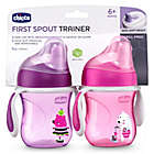 Alternate image 1 for Chicco&reg; 2-Pack 7 oz. First Spout Trainer Sippy Cups in Pink/Purple