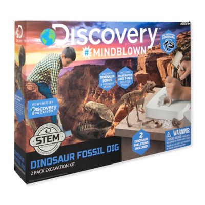 discovery dinosaur toy