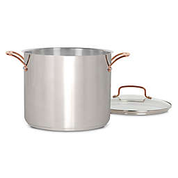 Cuisinart® Minerals 12 qt. Stainless Steel Covered Stock Pot