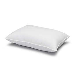 Ella Jayne Home Collection Microfiber Gel Stomach Sleeper Bed Pillow