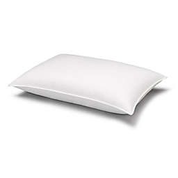 Soft Down Stomach Sleeper Pillow in White