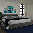 Alternate image 3 for EveryRoom Ryder King Velvet Upholstered Bed Frame with Storage in Grey