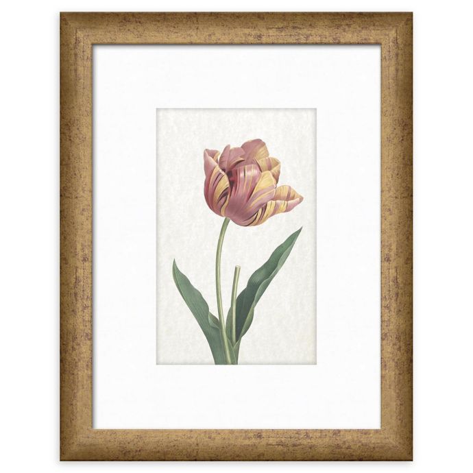 One Kings Lane Open House™ Single Rose Framed Wall Art Bed Bath & Beyond