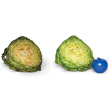 Bluapple&reg; 2-Pack Fruit and Vegetable Freshener. View a larger version of this product image.