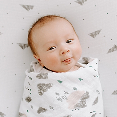 aden + anais&trade; essentials 4-Pack Bear Cotton Muslin Swaddles in Grey. View a larger version of this product image.